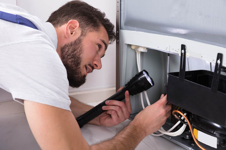 Freezer Repair Services: Ensuring Your Appliance Runs Smoothly